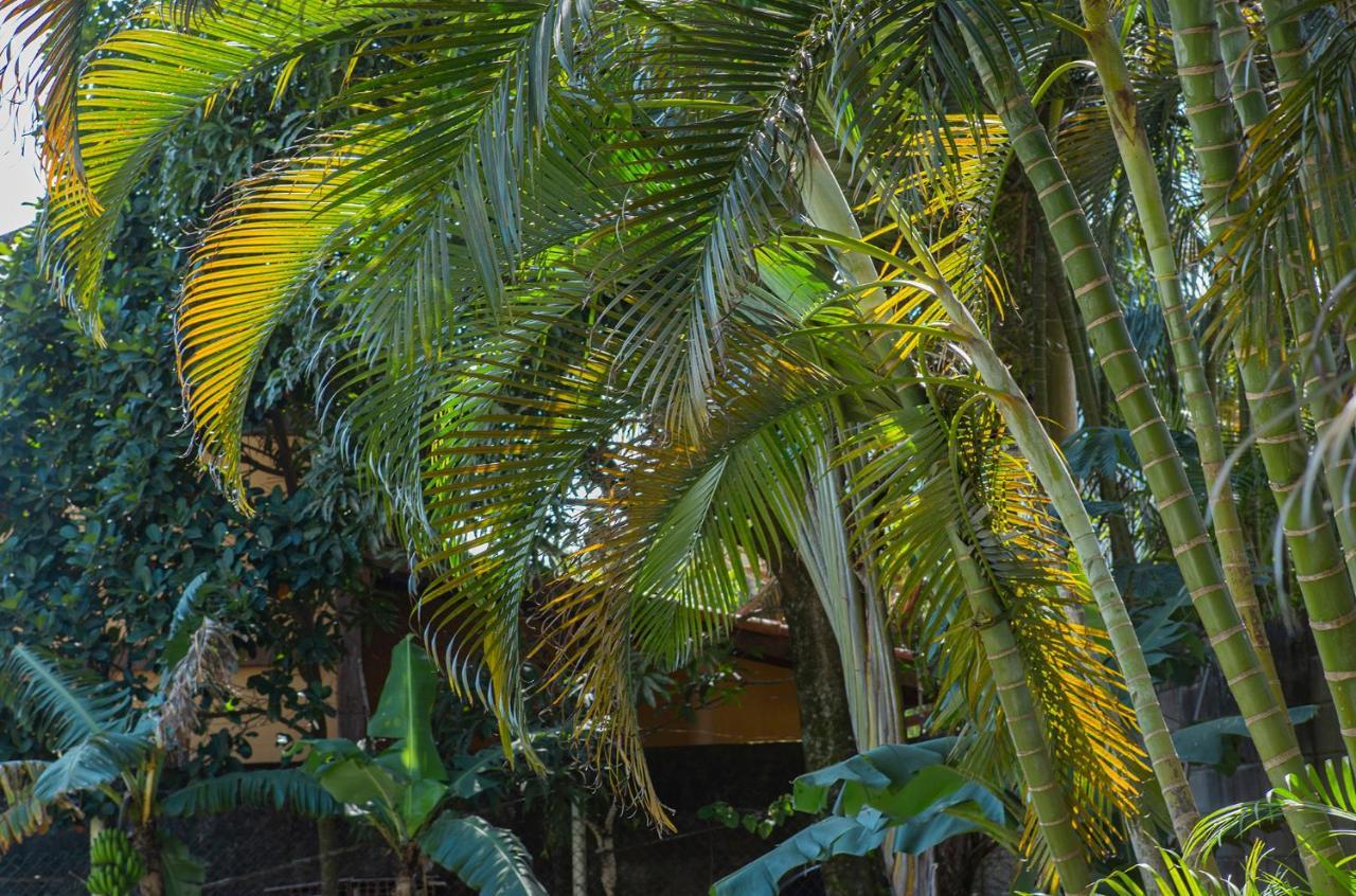 Suites Las Flores มาเรเซียส ภายนอก รูปภาพ